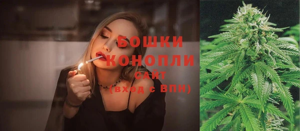 стаф Аркадак