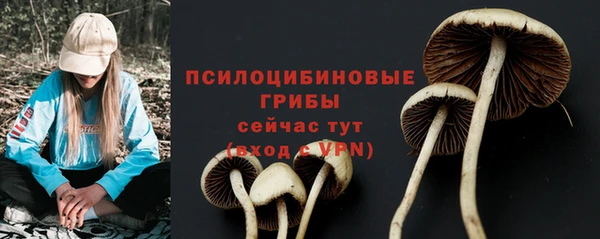 ALPHA PVP Арсеньев