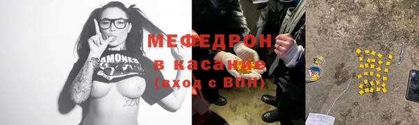 стаф Аркадак