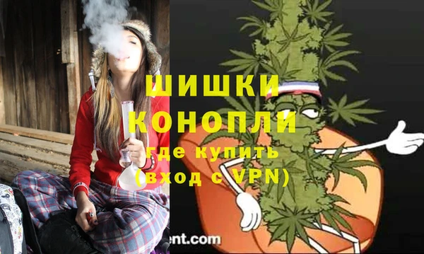 стаф Аркадак