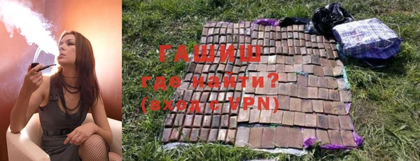 стаф Аркадак
