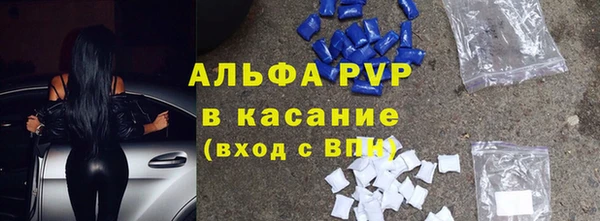 стаф Аркадак