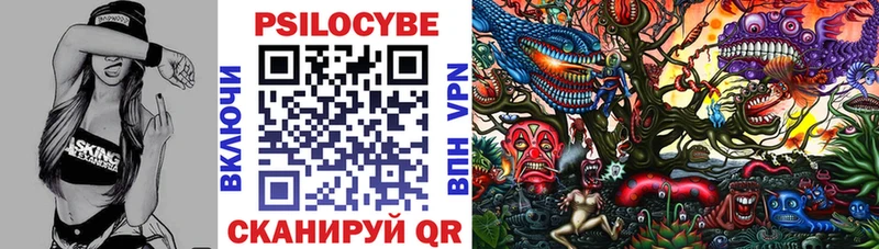 Галлюциногенные грибы MAGIC MUSHROOMS  цена наркотик  Сенгилей 